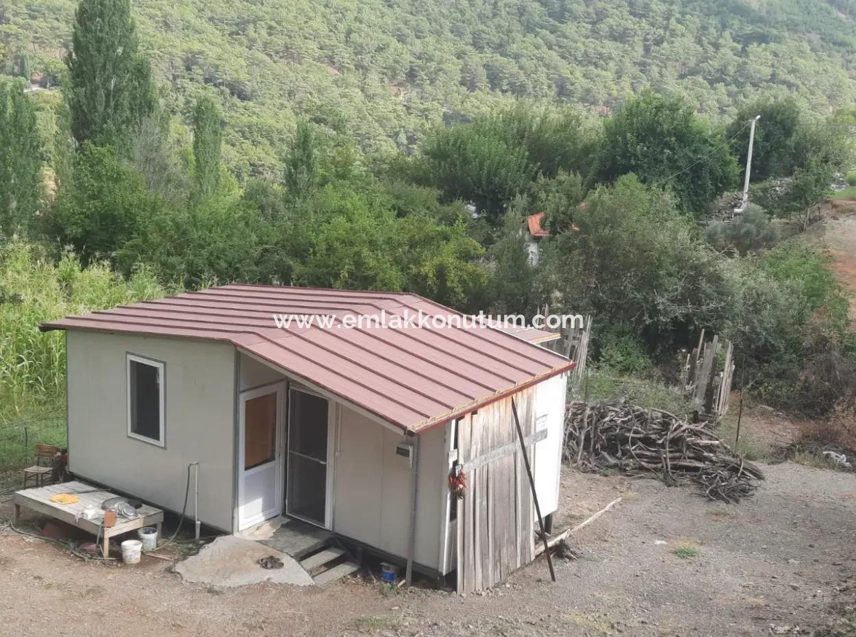 Muğla Köyceğiz Ağla - Yaylada 535 M2 Arsa Ve Tiny House Ev Satılık