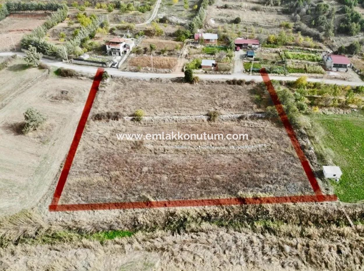 Çameli Belevide 5 000 M2 Müstakil Tapulu Yatırma Uygun Kelepir Tarla Satılık