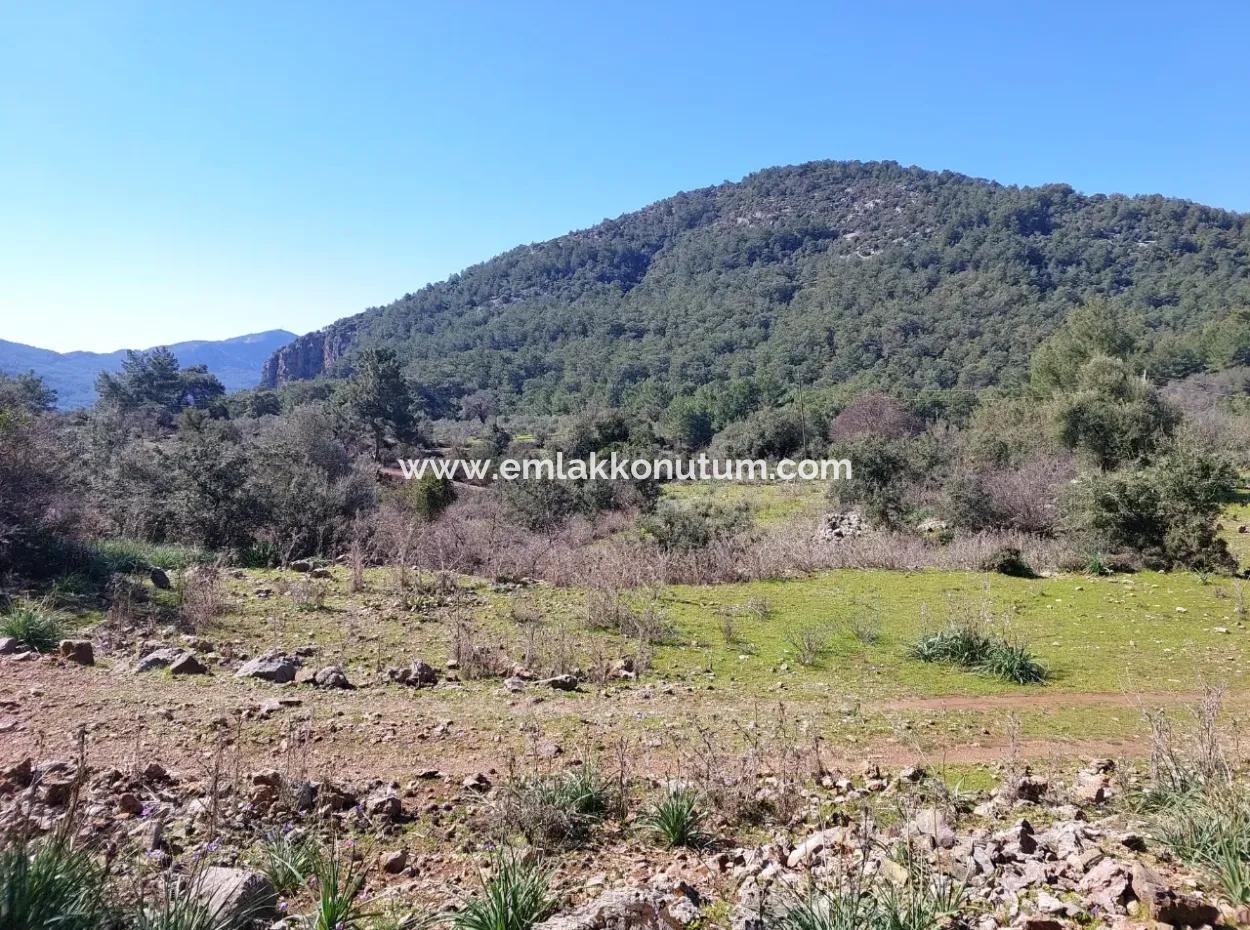 Muğla Ortaca Gökbelde Doğa İçinde 2 400 M2 Tarla Satılık