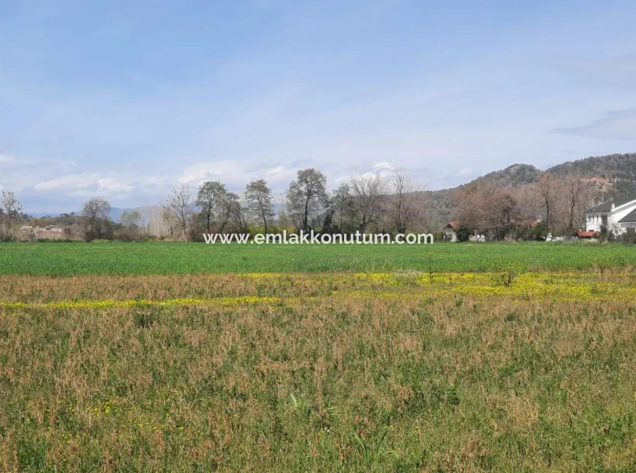 Muğla Okçularda 2.000 M2, Köy Yerleşik Alanındaki Arazi Satılık