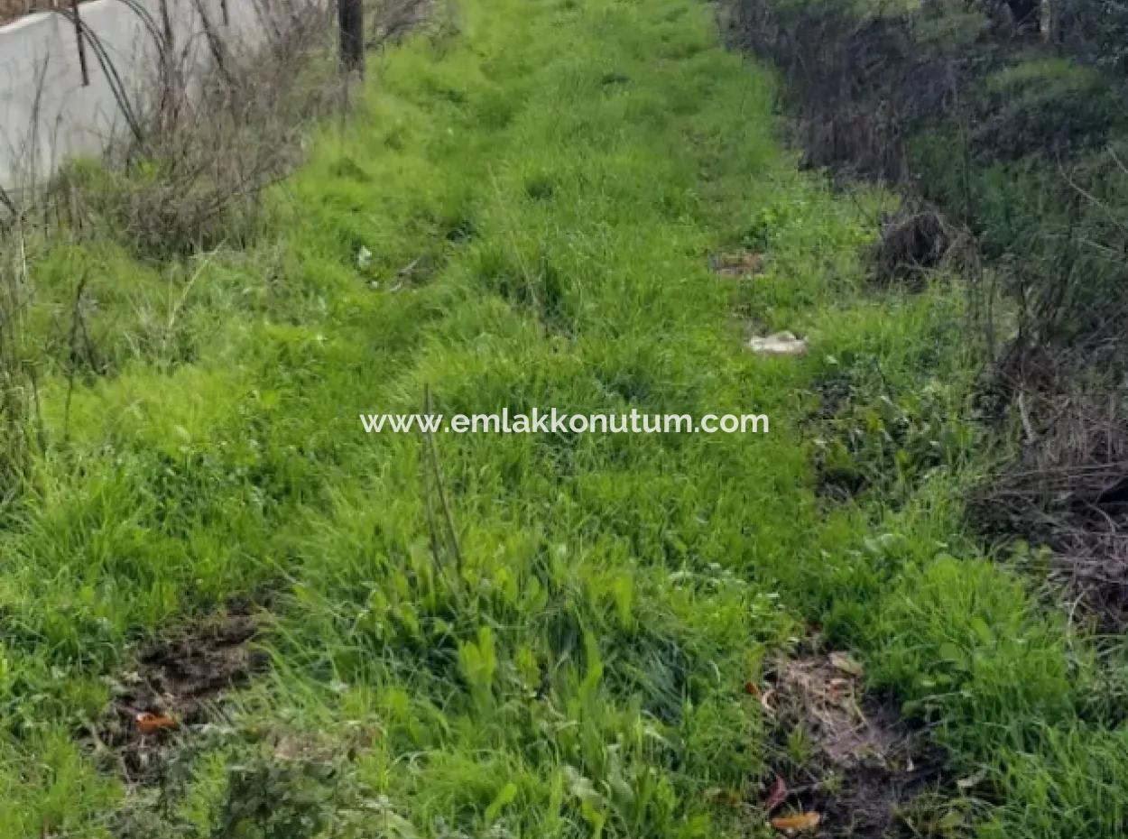 Muğla Köyceğiz Köyceğiz Mahallesinde 11 450 M2 Satılık Tarla