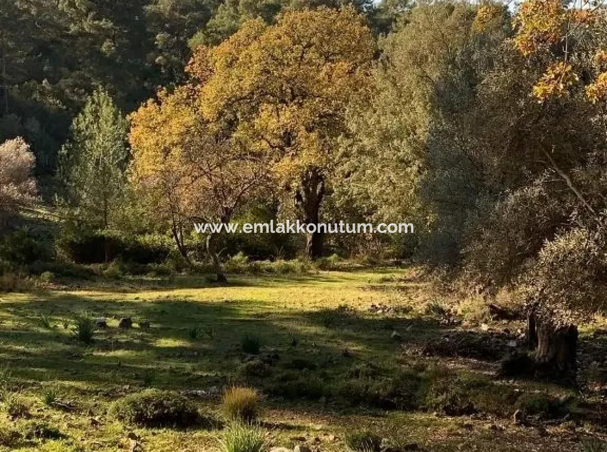 Göcek Te Satılık Yatırıma Uygun Arazi