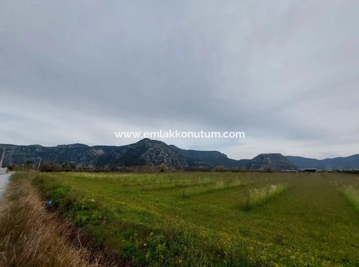 Muğla Dalyan'da 5 000 M2, 250 M2 İnşaat İzinli, Dalyan Kanalına Yakın Arazi  Satılık