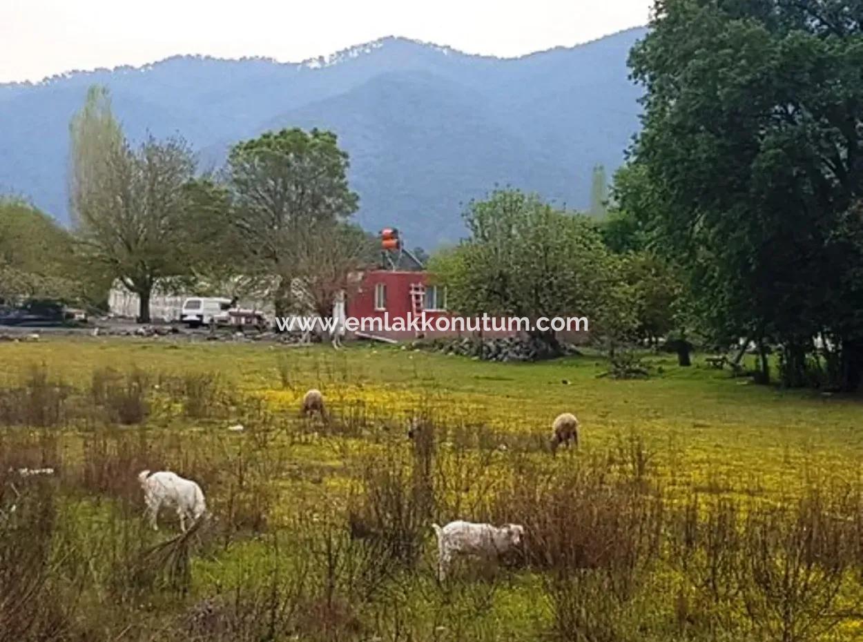 Muğla Ortaca Okçularda Dalyan Anayoluna Sıfır Yatırıma Uygun 3 577 M2 Arazi Satılık
