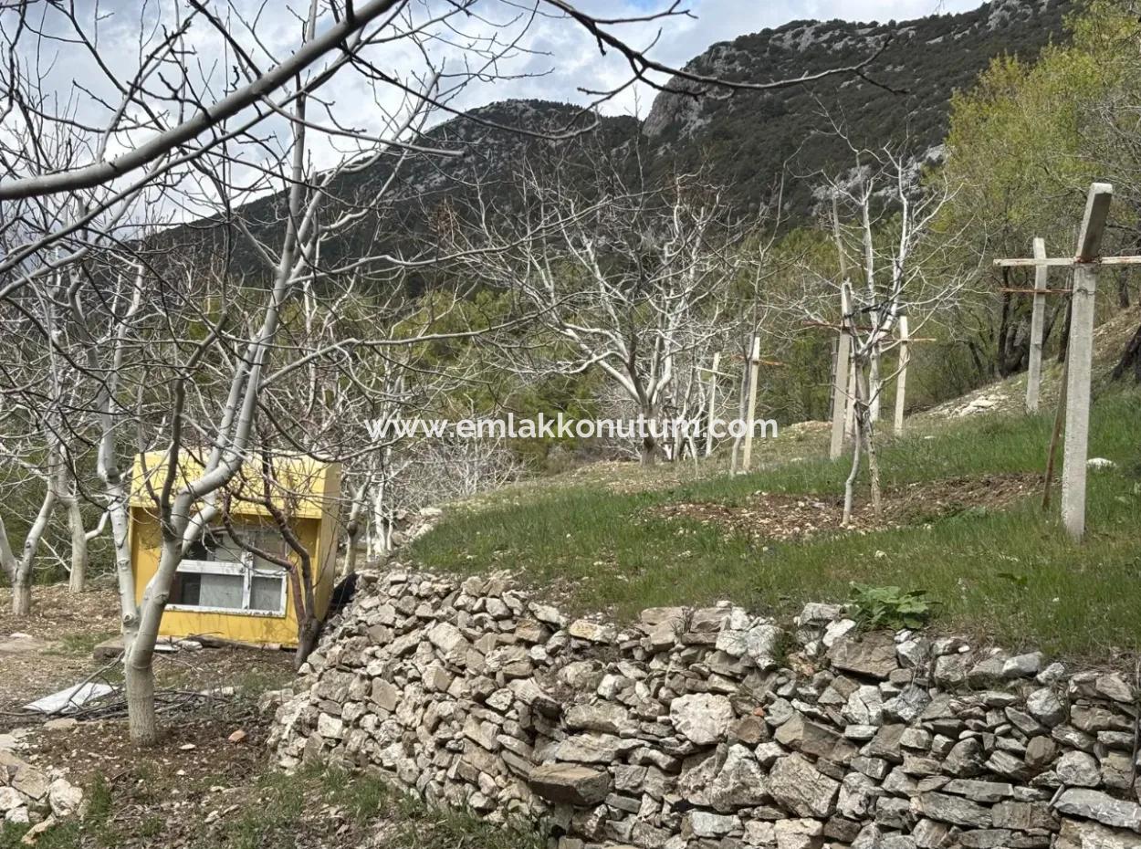 Antalya Akseki Çimiköy  9 400 M2 Müstakil Kelepir Ceviz Bahçesi Satılık Veya Takas