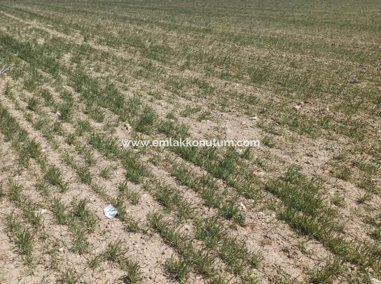 Konya Kadınhanı Başkuyu 650.000 M2 Kelepir Arazi Satılık