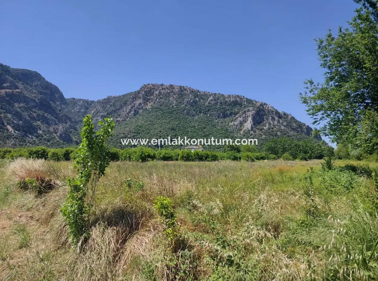 Muğla Marmarlı Da 5 800 M2 İmar Planı İçinde Yatırıma Uygun Satılık  Arsa