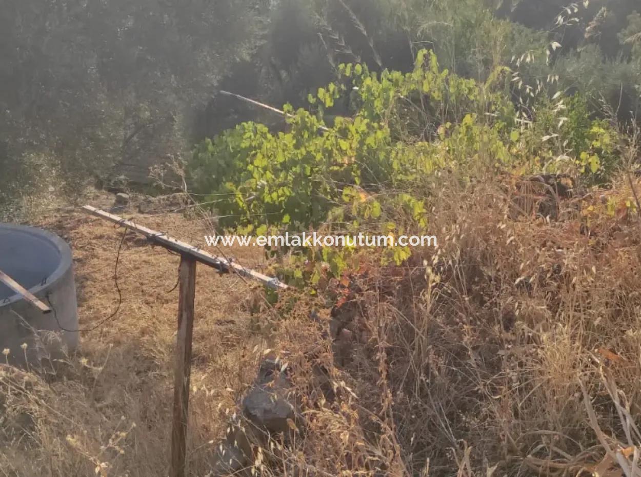 Muğla, Dalaman, Elcik 1 100 M2, Müstakil Arazide, 60 M2 Köy Ev Satılık