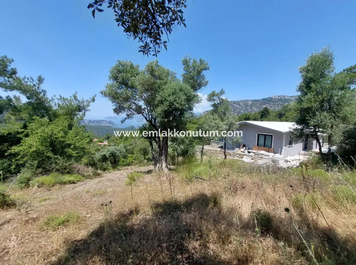 Mugla Gökbelde Göl Ve Deniz Manzaralı 1000M2 Arazi Satılık