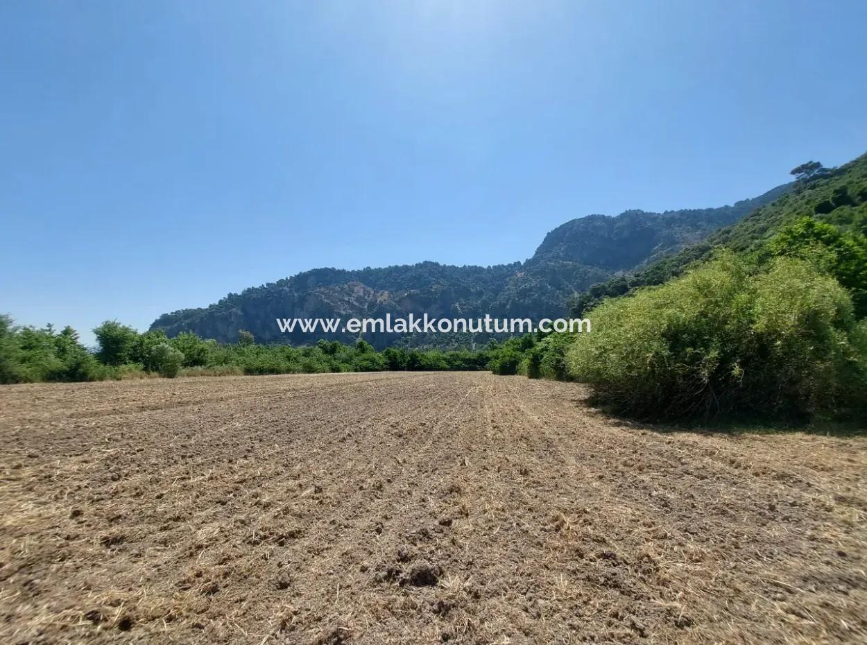 Muğla Okçular Marmarlıda 7 750 M2 İmar Planı İçinde Yatırıma Uygun Kelepir Arsa  Satılık