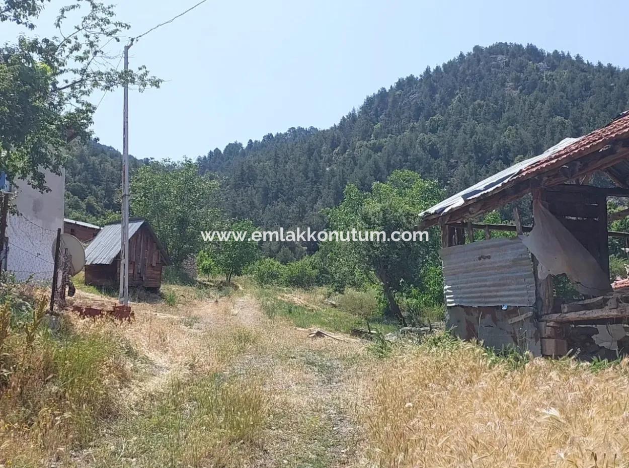 Çameli Kızılyakada 2500 M2 Müstakil Tapulu 2 Ev Ve Ahır, Depo Satılık