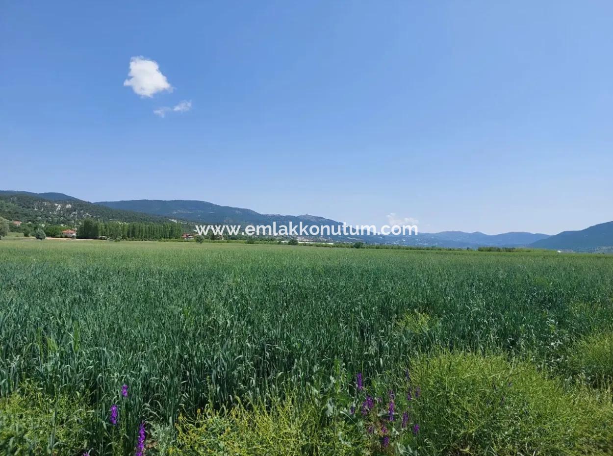 Çameli Bıçakçıda Satılık Kelepir Arazi  5,333 M2 Müstakil Tapulu Satılık