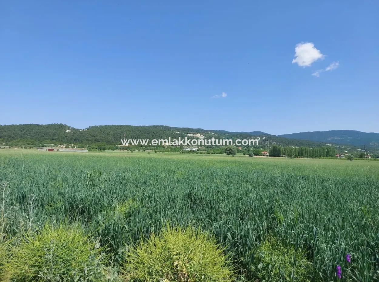 Denizli Çameli Kızılyakada Satılık1500 M2 Müstakil Tapulu Kelepir Arazi