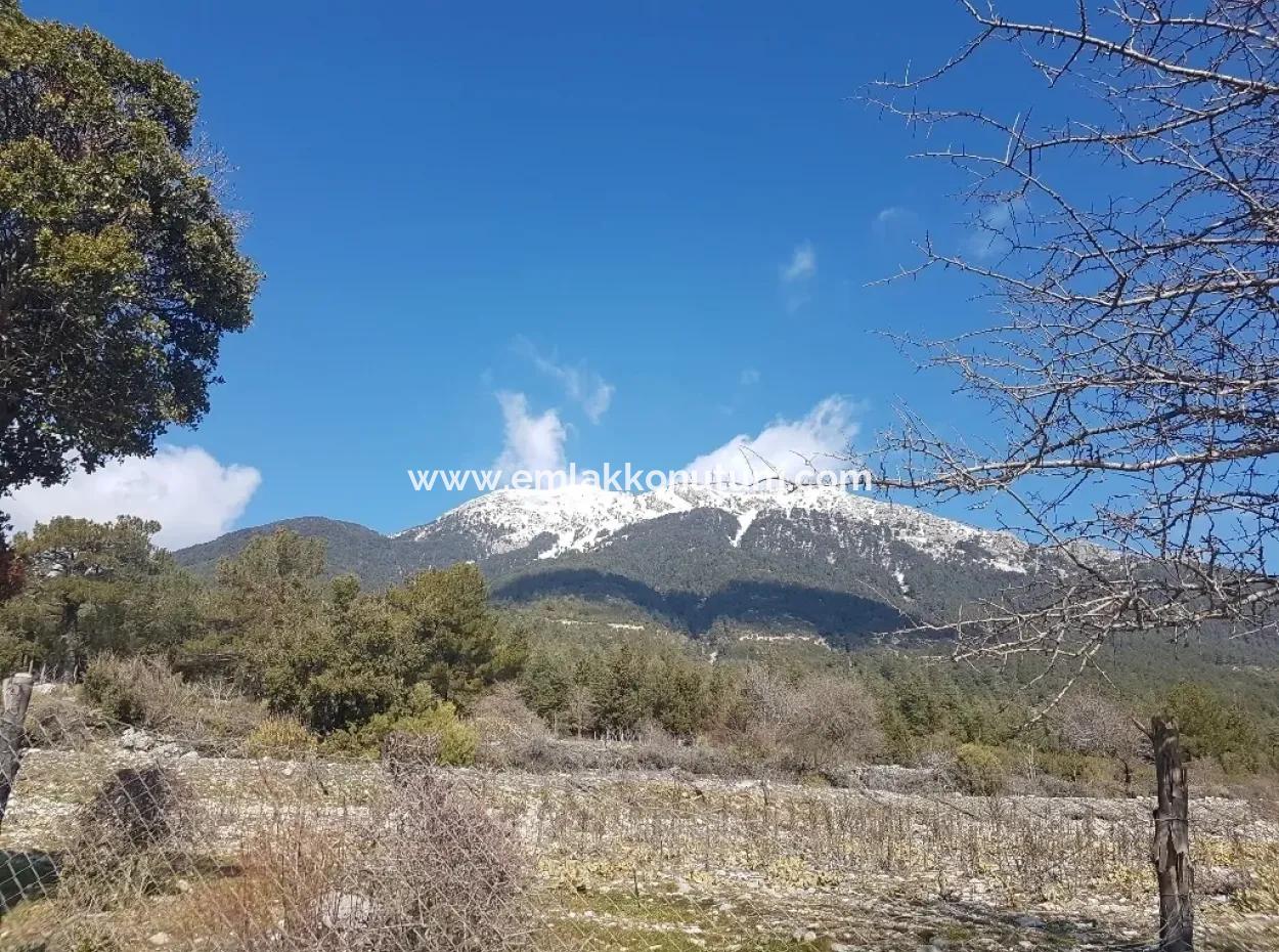 Fethiye Nifte Satılık Kelepir Müstakil Arazi