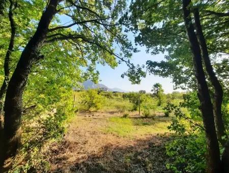 Muğla Dalyan Marmarlıda Satılık Yatırıma Uygun Arazi