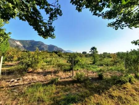 Muğla Dalyan Marmarlıda Satılık Yatırıma Uygun Arazi