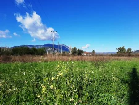 Muğla Ortaca Dalyanda Satılık Yol Cepheli 9300 M2 Yatırıma Uygun Verimli Arazi