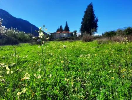 Muğla Ortaca Dalyanda Satılık Yol Cepheli 9300 M2 Yatırıma Uygun Verimli Arazi