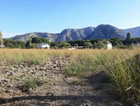 Muğla Ortaca Okçularda Dalyan Sınırında Satılık Yatırıma Uygun Kelepir Arazi
