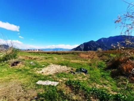 Muğla Dalyanda Satılık İztuzu Plaj Yoluna Yakın 4830 M2 Arazi