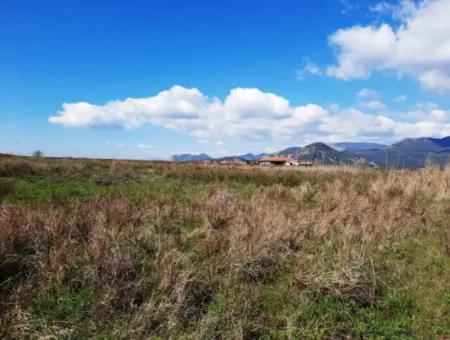 Muğla Dalyanda Satılık İztuzu Plaj Yoluna Yakın 4830 M2 Arazi