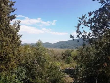 Sarıgerme De Satılık Kelepir Arsa, 2616 M2, 6 Müstakil Parsel