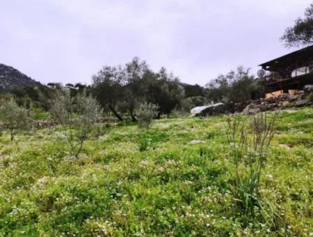 Fethiye Göcek Taşbaşında Satılık Doğa İçinde Müstakil Köy Evi