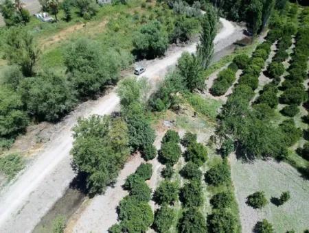 Köyceğizde Göle Yakın 2 650M2 Müstakil Tapulu Bahçe Satılık