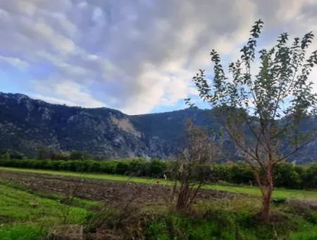 Muğla Dalyanda Yatırıma Uygun Kelepir Hisseli 1100 M2 Arazi Satılık