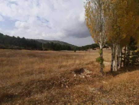 Çameli Cumalanında Eski Acıpayam Yoluna Sıfır Müstakil  6 230 M2 Arazi Satılık Veya Takas