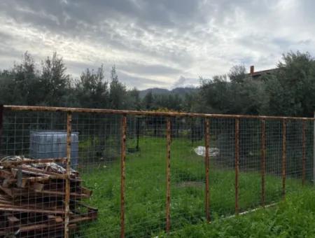 Muğla Ortaca Karaburun Mah 600 M2 Arsa Satılık