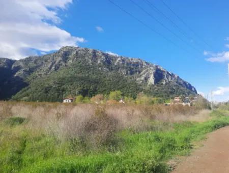 Muğla Ortaca Dalyan Marmarlı Da 20.000 M2, İmar Planında Arazi Satılık