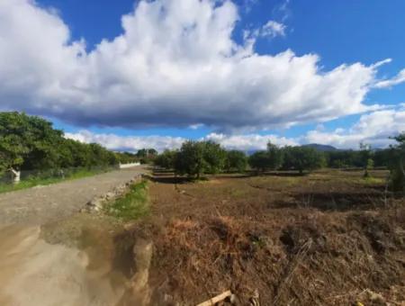 Muğla Ortaca Dalyan Marmarlı Da 20.000 M2, İmar Planında Arazi Satılık
