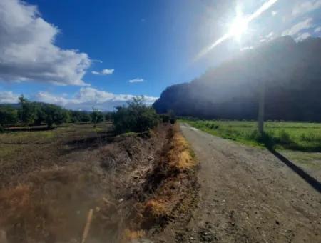 Muğla Ortaca Dalyan Marmarlı Da 20.000 M2, İmar Planında Arazi Satılık