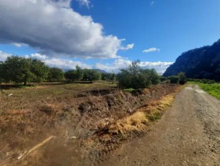 Muğla Ortaca Dalyan Marmarlı Da 20.000 M2, İmar Planında Arazi Satılık