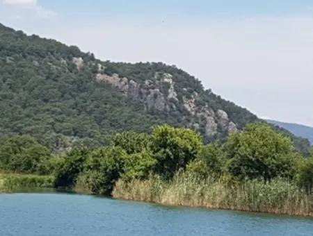 Köyceğiz Çandır Dalyan Kanalına Sıfır 25,190 M2 Yatırıma Uygun Arazi Satılık