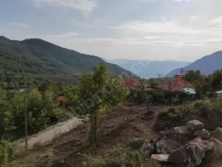 Muğla Köyceğiz Yayla Mah 570 M2 Arsa Satılık