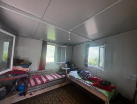Muğla Köyceğiz Ağla - Yaylada 535 M2 Arsa Ve Tiny House Ev Satılık