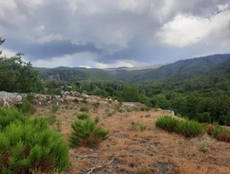 Muğla Köyceğiz Ağla, Yaylada 1 758 M2 İmarlı Kelepir Arsa Satılık