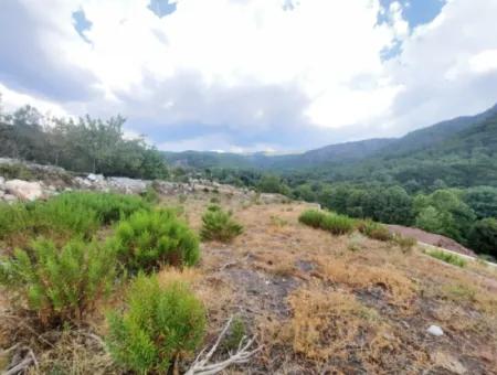 Muğla Köyceğiz Ağla, Yaylada 1 758 M2 İmarlı Kelepir Arsa Satılık