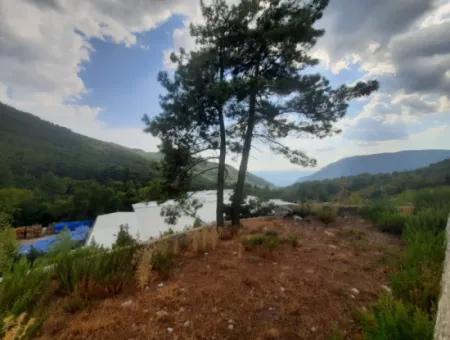 Muğla Köyceğiz Ağla, Yaylada 1 758 M2 İmarlı Kelepir Arsa Satılık