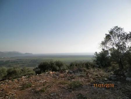 Fevziye De Satılık Deniz Manzaralı Arazi