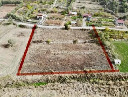 Çameli Belevide 5 000 M2 Müstakil Tapulu Yatırma Uygun Kelepir Tarla Satılık