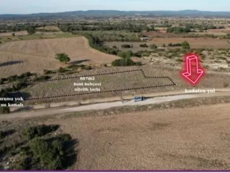 Çanakkale Bayramiç Çavuşköyde 886 M2 Müstakil Tapulu Hobi Bahçesi Satılık