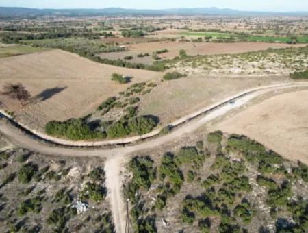 Çanakkale Bayramiç Çavuşköyde 886 M2 Müstakil Tapulu Hobi Bahçesi Satılık