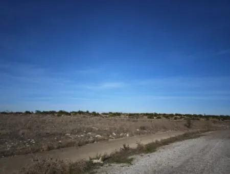 Çanakkale Bayramiç Çavuşköyde 886 M2 Müstakil Tapulu Hobi Bahçesi Satılık
