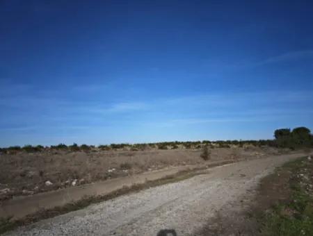 Çanakkale Bayramiç Çavuşköyde 886 M2 Müstakil Tapulu Hobi Bahçesi Satılık