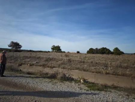 Çanakkale Bayramiç Çavuşköyde 886 M2 Müstakil Tapulu Hobi Bahçesi Satılık