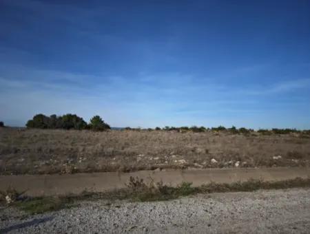 Çanakkale Bayramiç Çavuşköyde 886 M2 Müstakil Tapulu Hobi Bahçesi Satılık