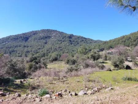 Muğla Ortaca Gökbelde Doğa İçinde 2 400 M2 Tarla Satılık